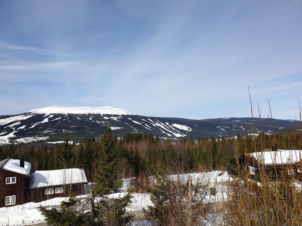 Reveenka - Cabin In Trysil With Jacuzzi For Rent Exterior foto